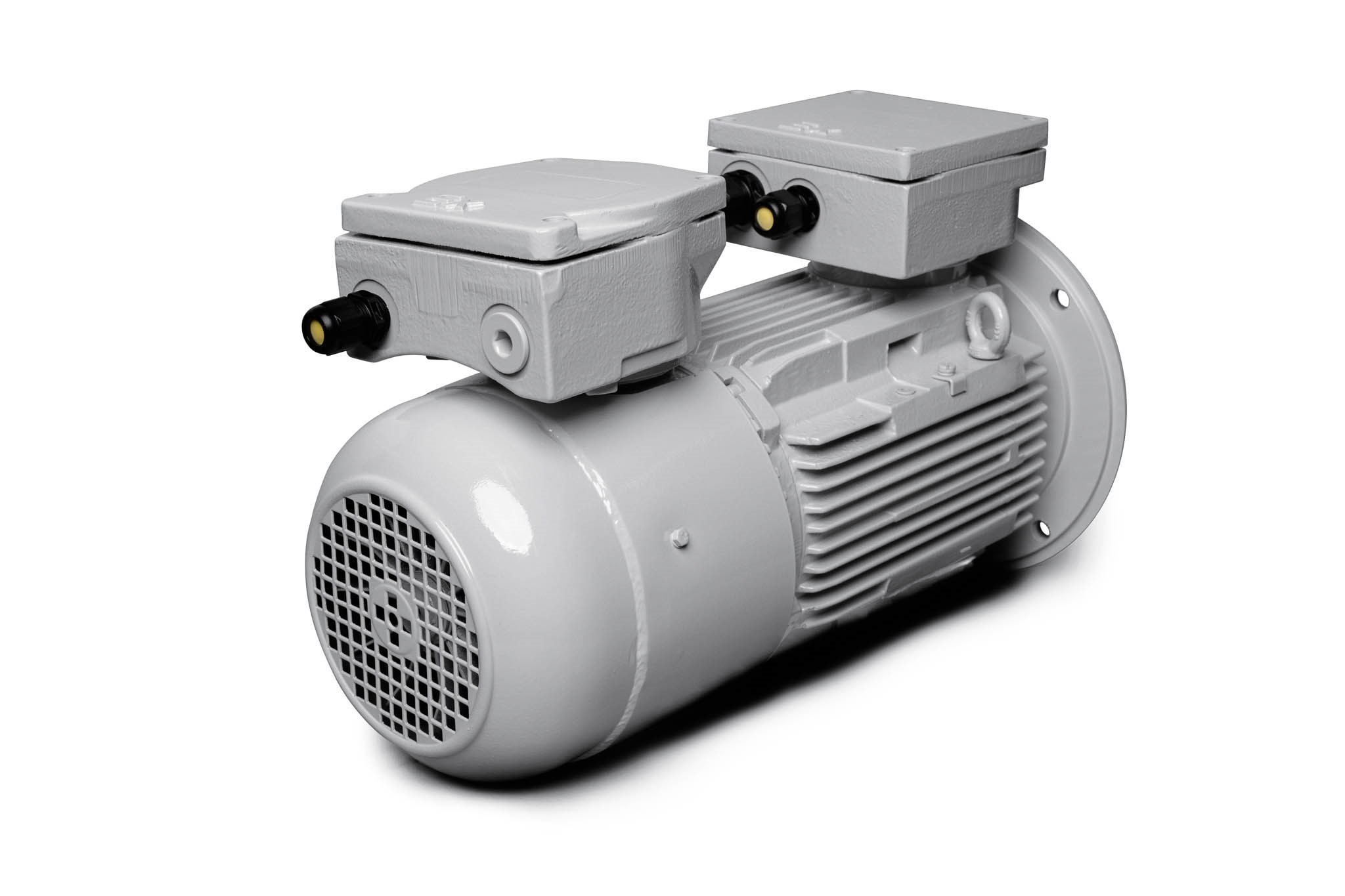 ATEX-Motor mit Bremse